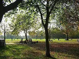 118 Brondesbury Road Apartments Londres Quarto foto